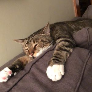 Meet your Posher, Miranda